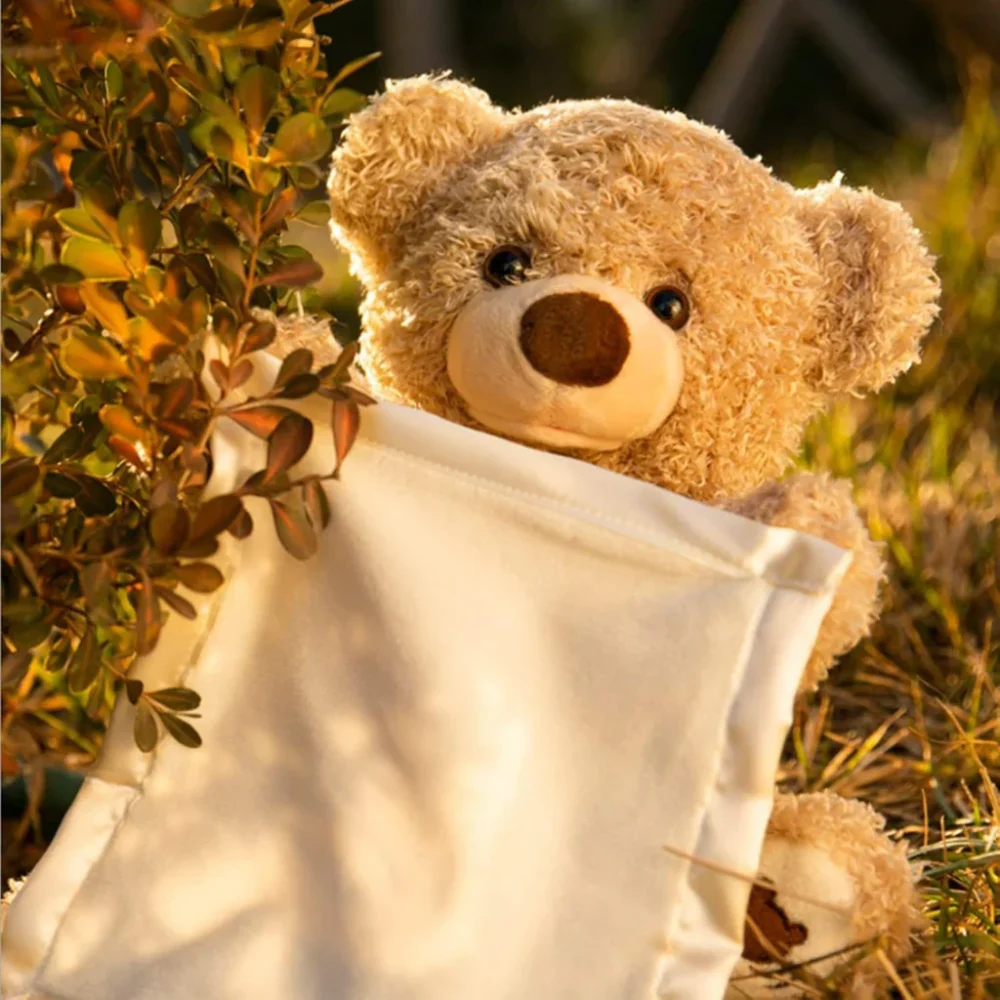 Hide & Hug Teddy (Rechargeable) - Image 2